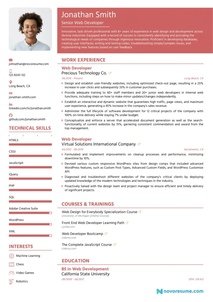 Web Developer Resume Example