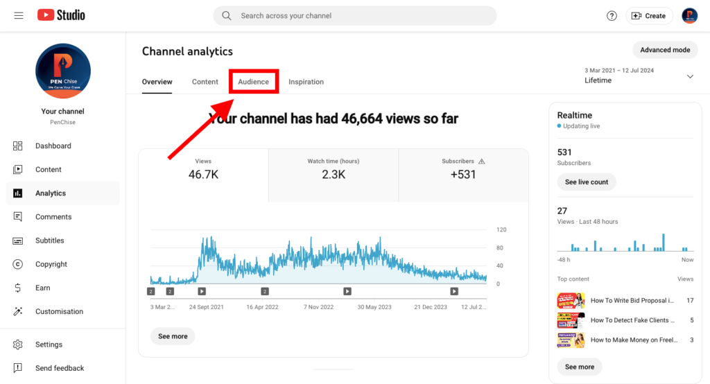 Audience Analytics Tab