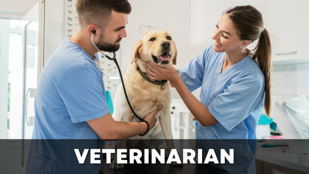 Veterinarian